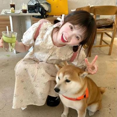 森林战士