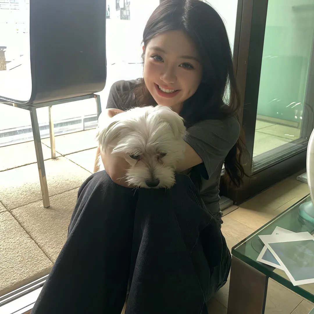 狐狸的夏天2